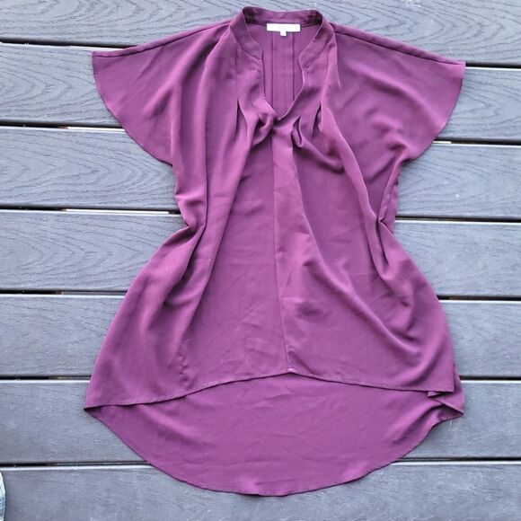 💙3 for $30💙 Ro & De Plum High-Low Flutter Sleeve Blouse - Picture 7 of 7